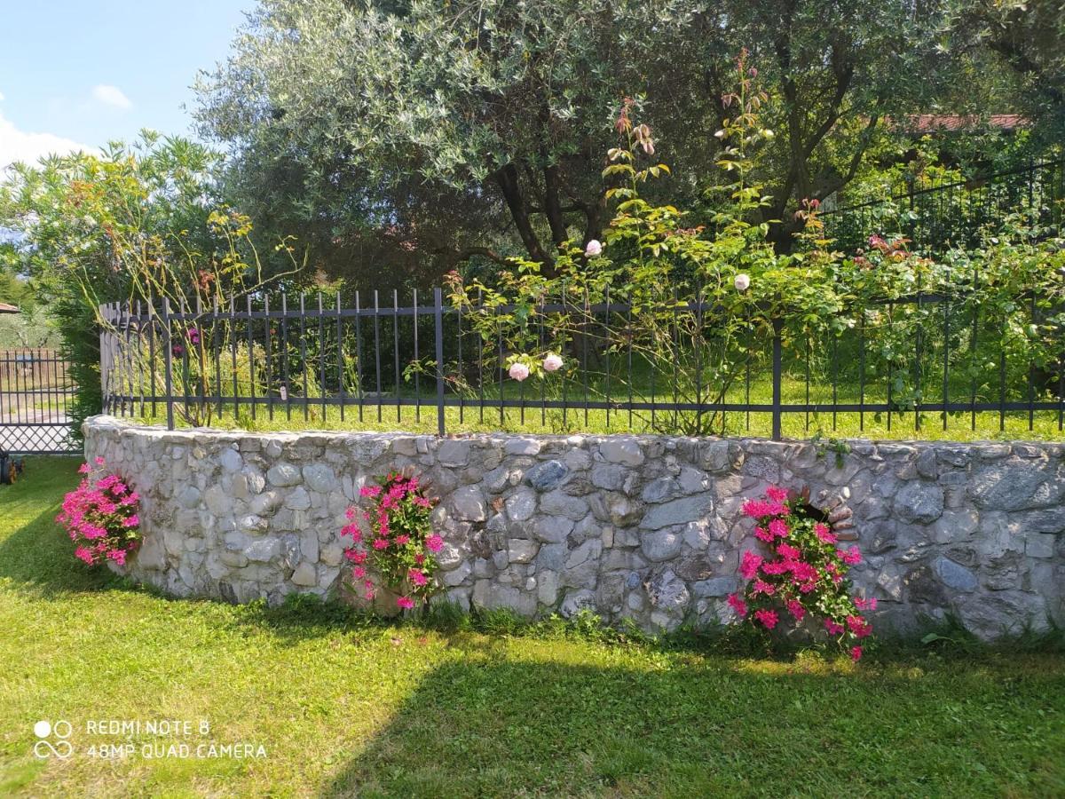 Mary Rose Apartments Oliveto Lario Esterno foto