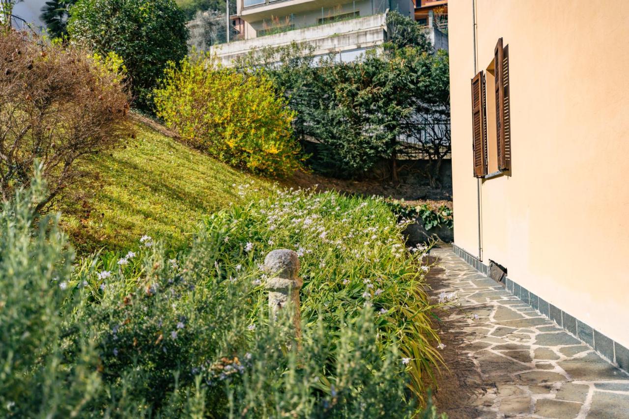 Mary Rose Apartments Oliveto Lario Esterno foto